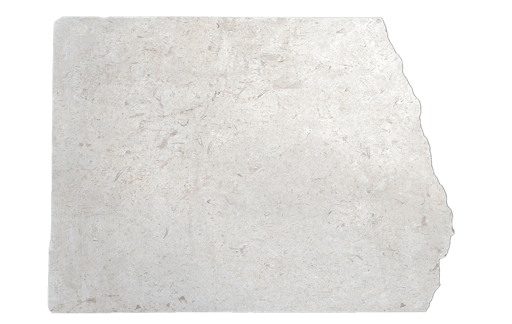Jerusalem Bone Limestone Slab