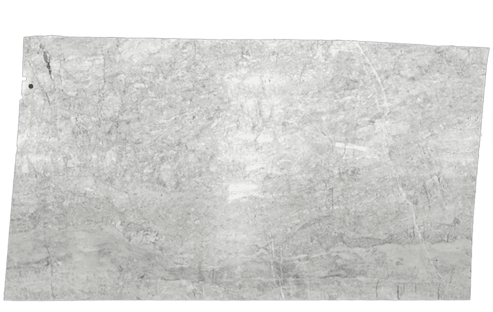 White Princess Quartzite Slab